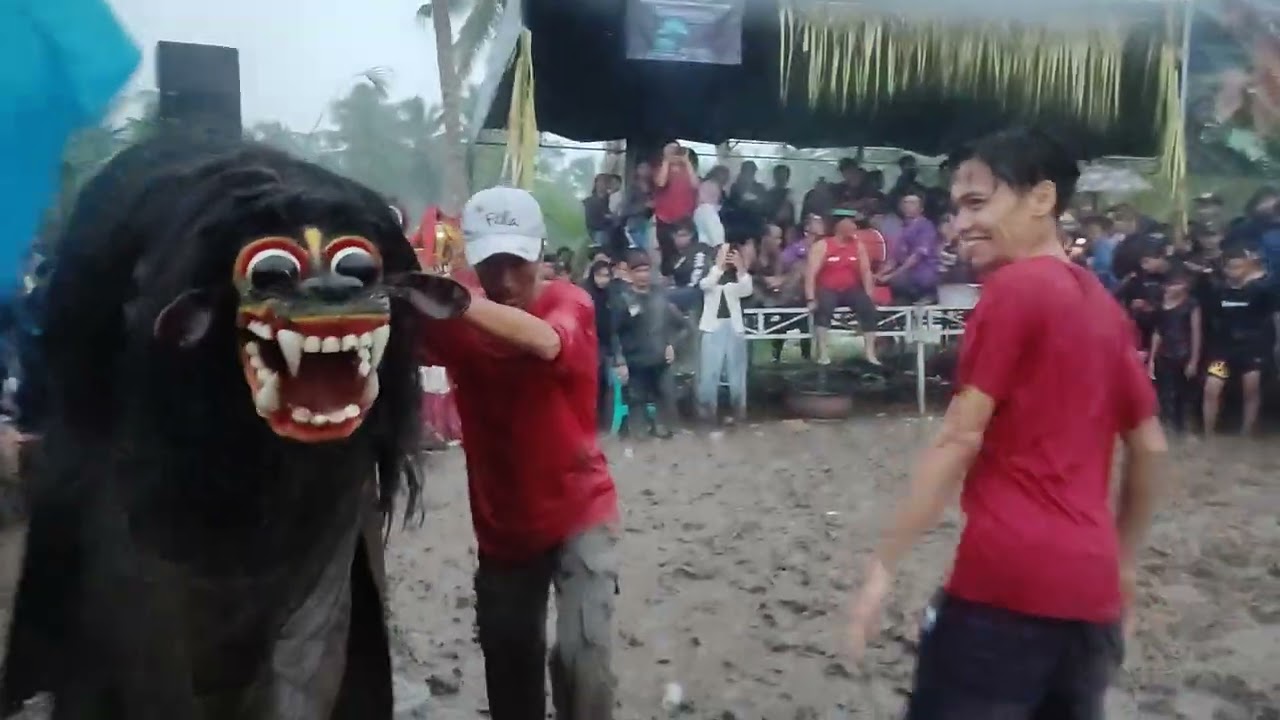 Macan Macanan Barong muncul Budoyo live langring 