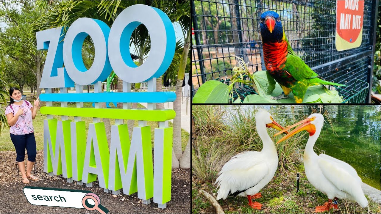 ZOO MIAMI | Visitando el zoológico de Miami ,precios 🐘vale la pena ir ??