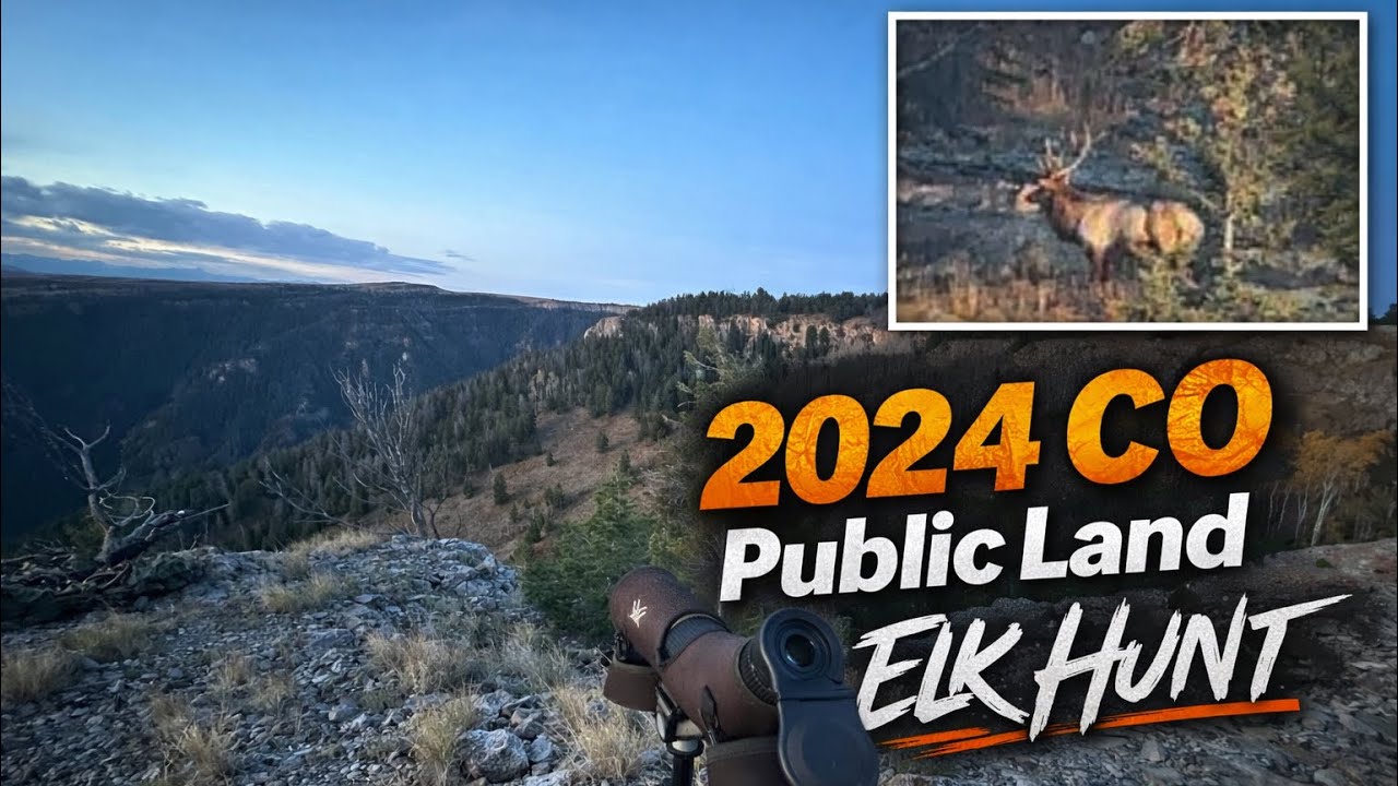 Colorado 1st Rifle Season 2024