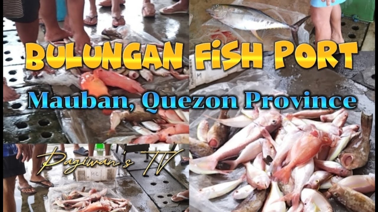 Ganito pala ang Bulungan Fish Port sa Mauban Quezon Province