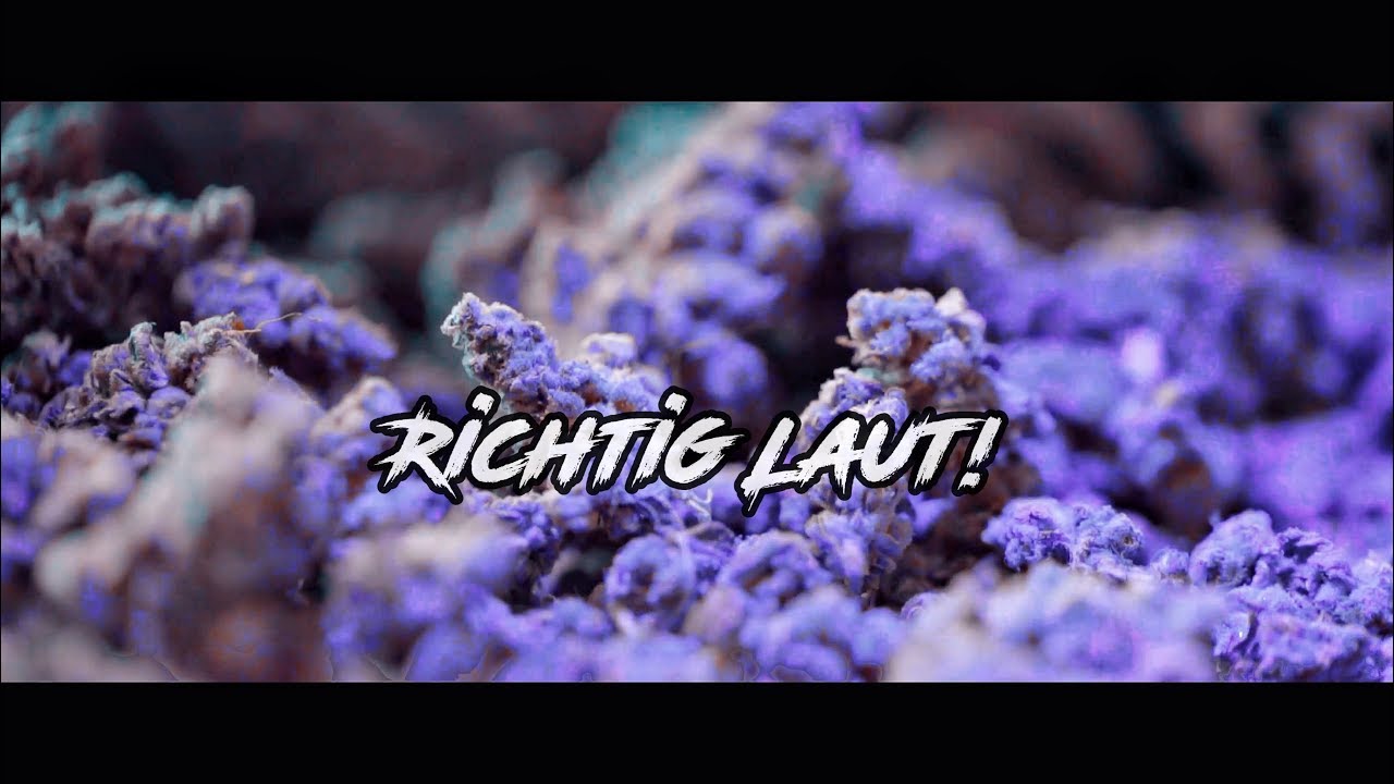 Gera Berlin & Karmo Kaputto feat. Bangs - Richtig Laut (prod von Kotico & Sansimo) 4K Video