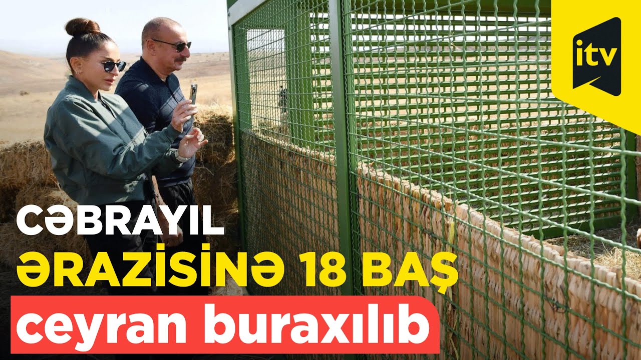 Cəbrayıl rayonu ərazisinə 18 baş ceyran buraxılıb