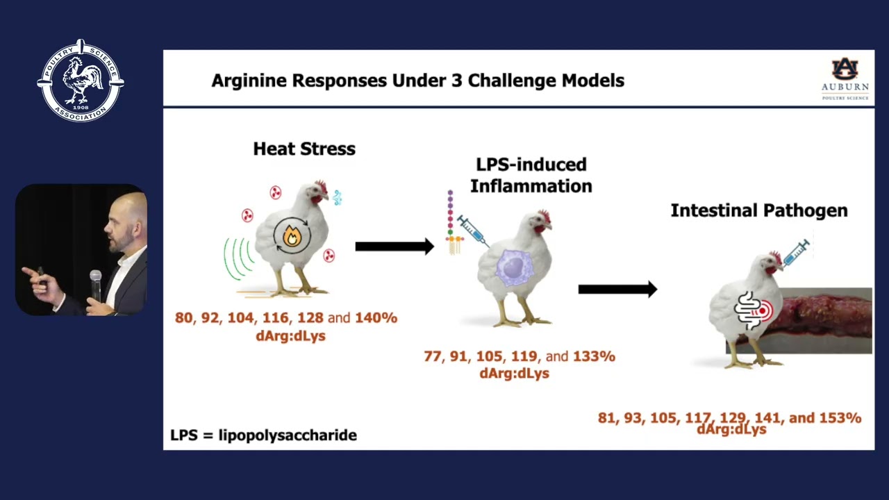 Day 4   AM Sessions   Practical Applications of Arginine Functionality to Support Broiler Health and