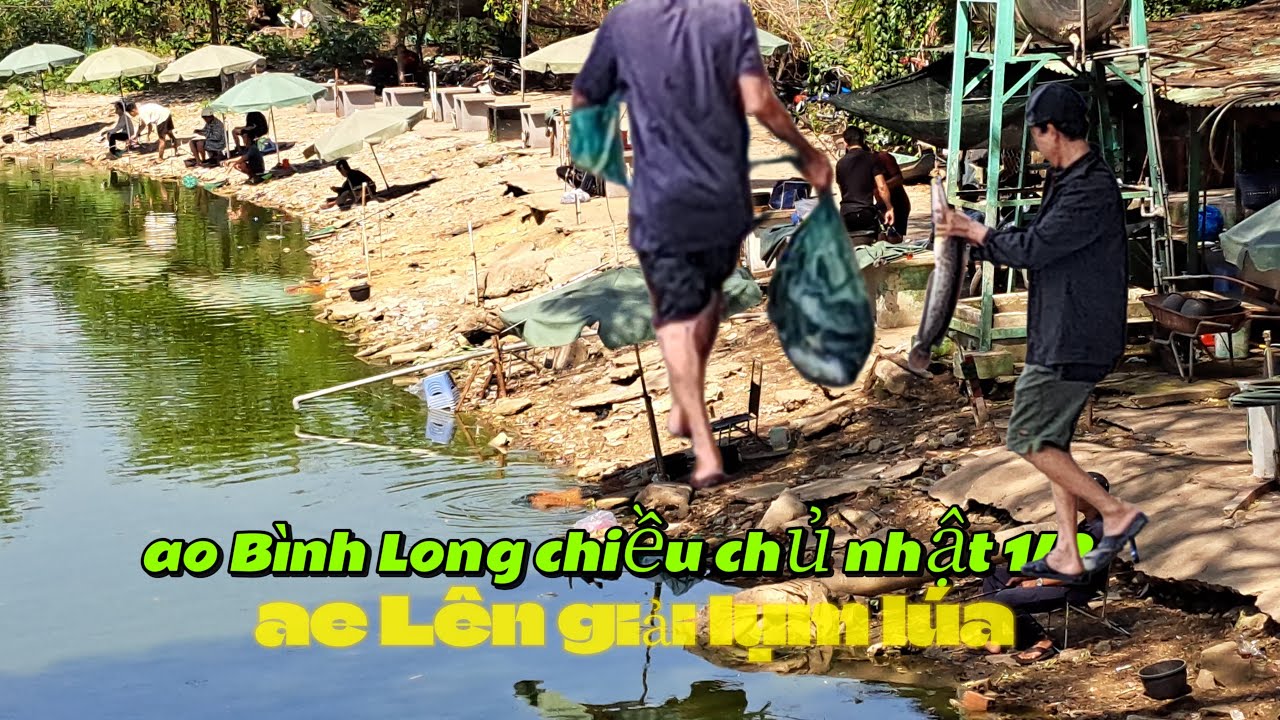 chiều chủ nhật ao Bình Long lên giải