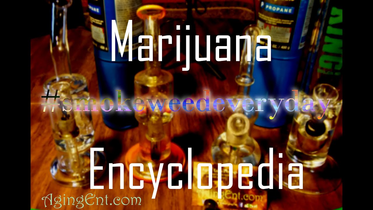 Marijuana Encyclopedia 24 - First Cannaversary