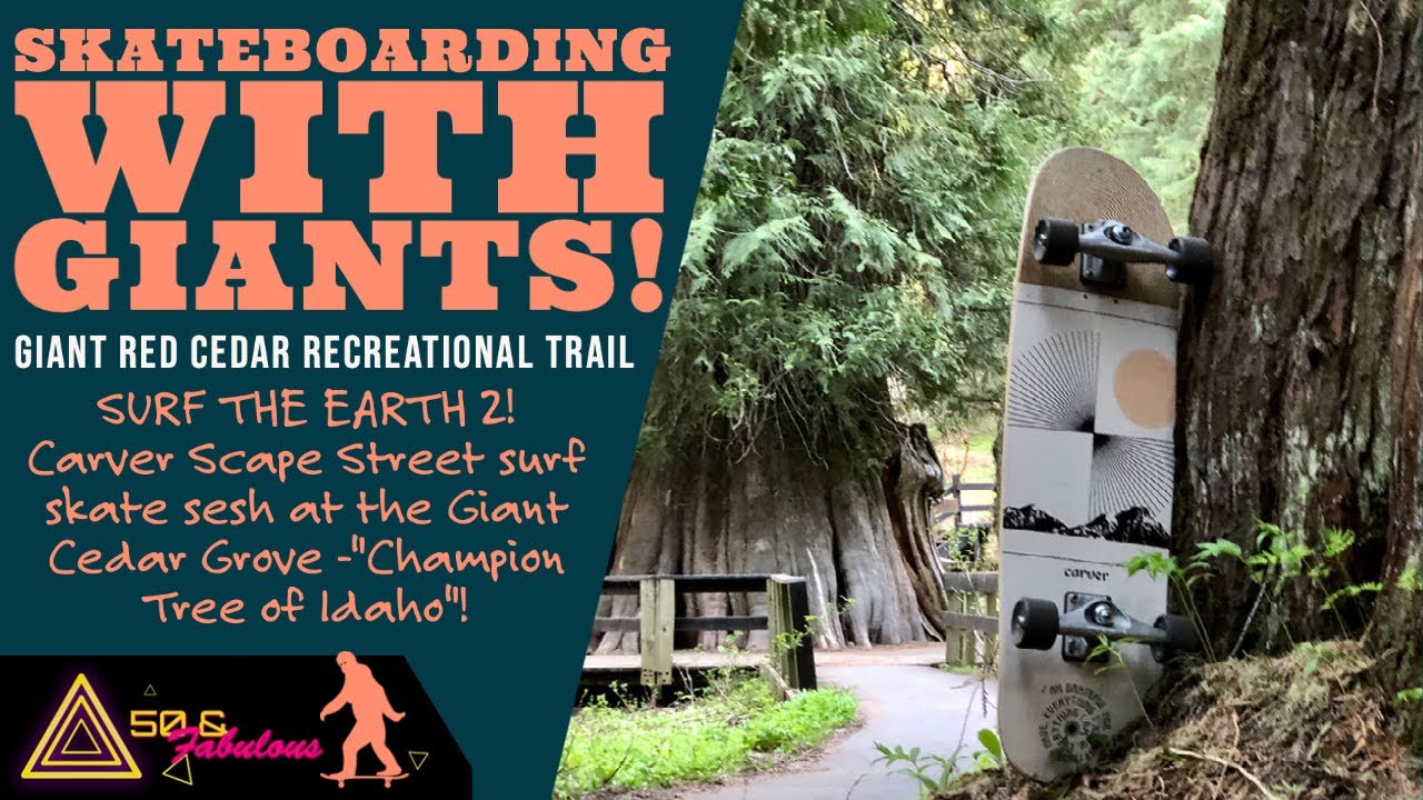Surf skating with GIANTS! Surf the Earth 2 - Giant Red Cedar Trail 