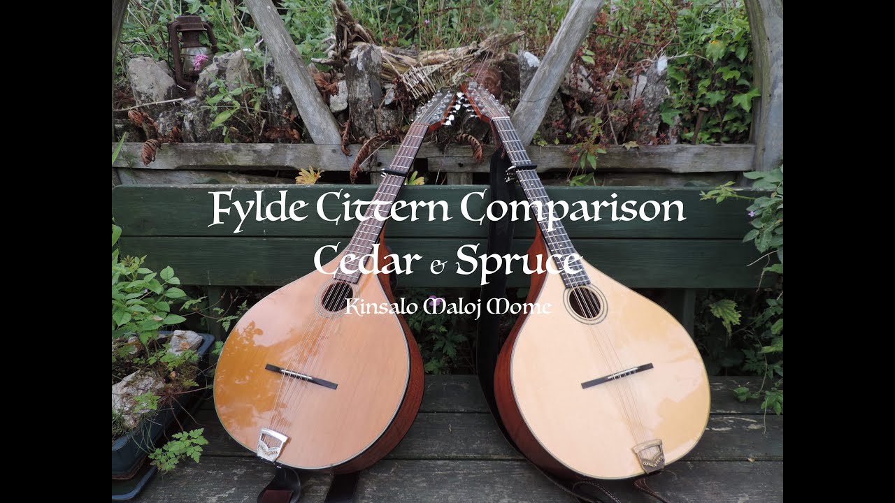 Fylde Cittern Comparison no.2
