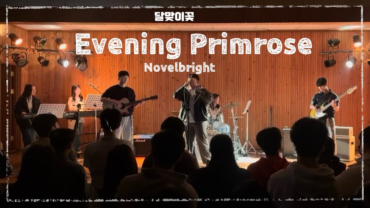 Evening primrose - Novelbright | 경북대학교 EXPRESSION 익스프레션 @2025 2학기 오픈스테이지