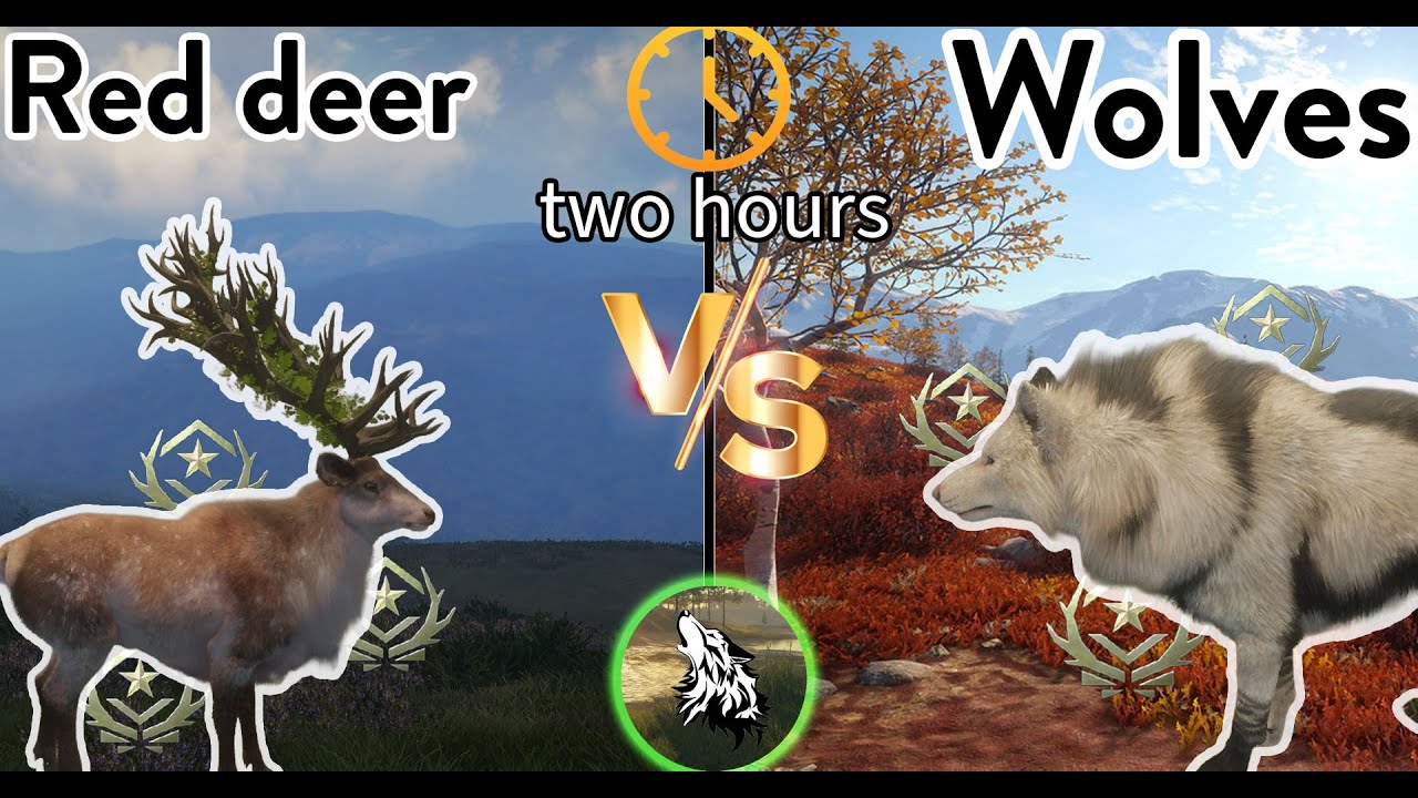 I hunted Red Deer and Wolves for 2 HOURS to see what we get