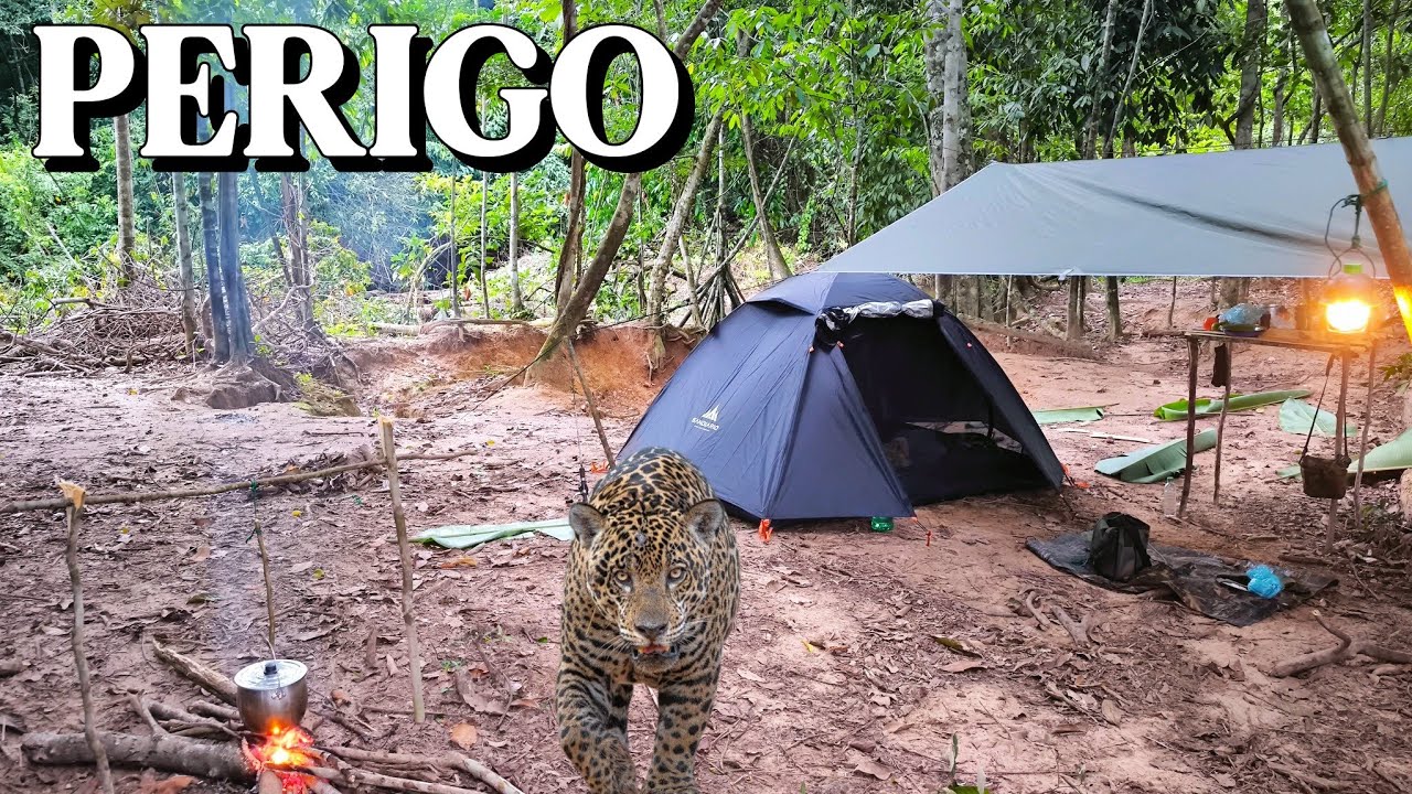 A Onça Veio Buscar Ele Quase Dentro de Casa Acampamento de Barraca à Beira do Rio Perigo na aventura