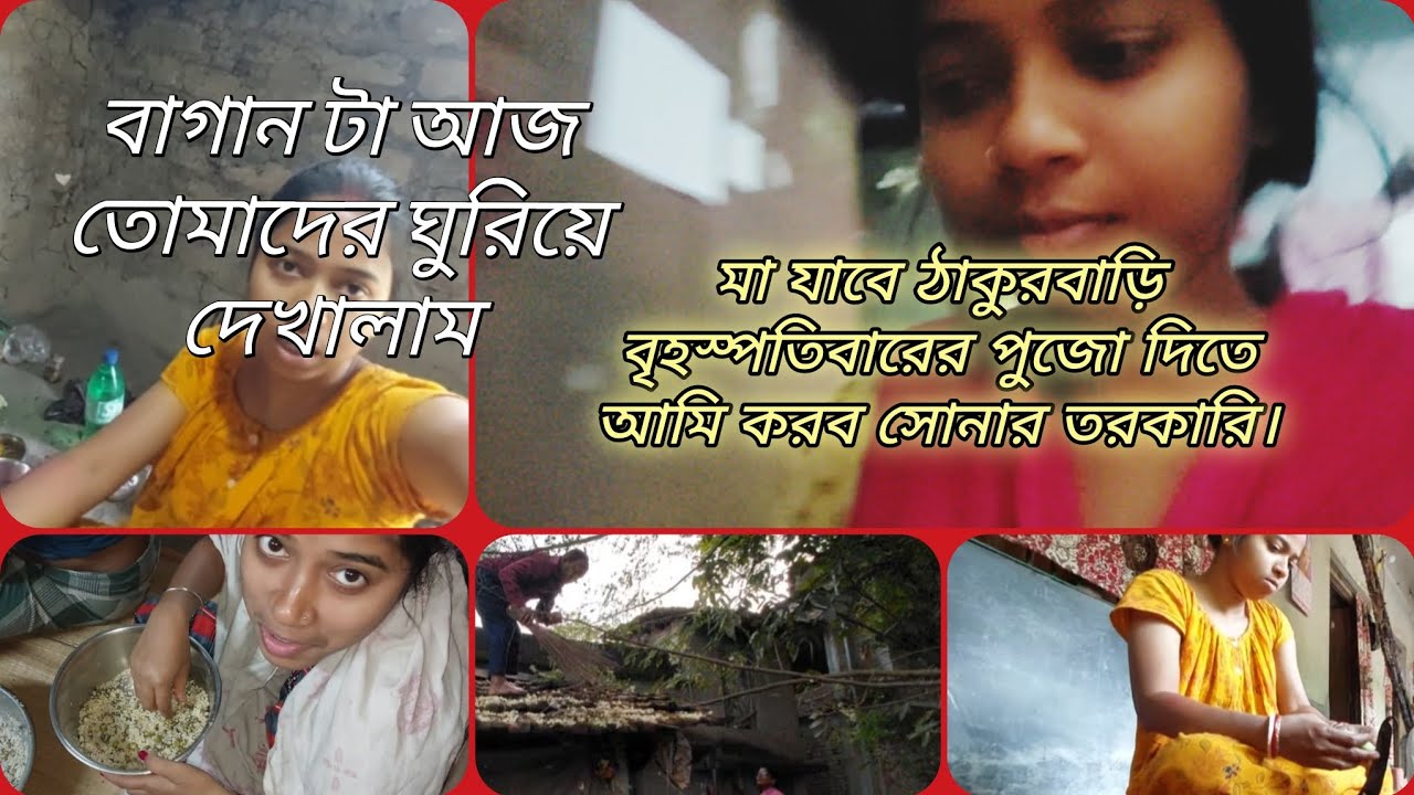 ঝরে পড়ে গেল গাছের সব সজিনা ফুল /আজ বাগানটা ঘুরিয়ে দেখালাম