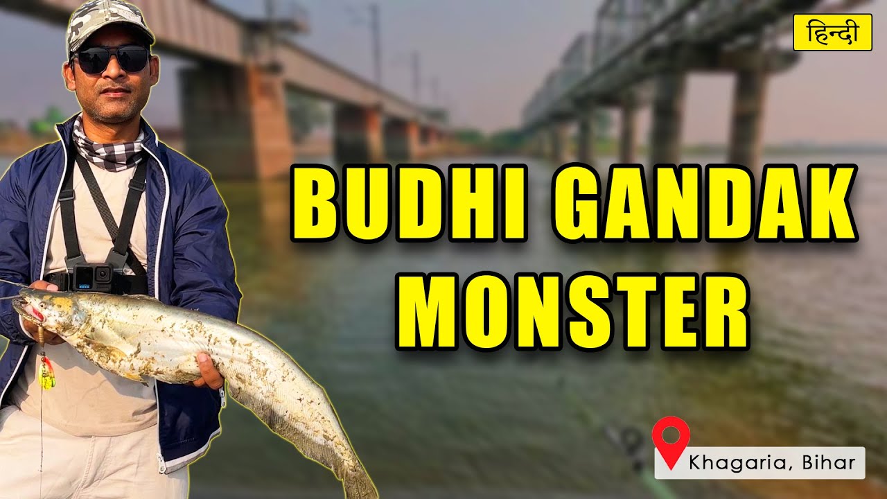 🎣 Monster Wallago Attu in Budhi Gandak! Khagaria Fishing Trip | Snakehead Fishing in Bihar