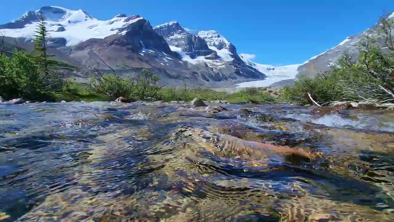 Pure Mountain Creek Sounds, No Music | Relaxing Nature Ambience with Glacier Backdrop
