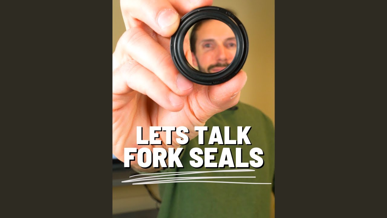 Lets Talk Fork Seals - NERD ALERT!