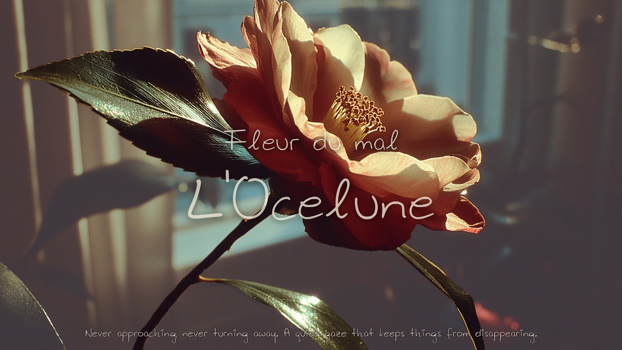 𝓛𝓮𝓼 𝓕𝓵𝓮𝓾𝓻 𝓭𝓾 𝓶𝓪𝓵 1 L'Ocelune