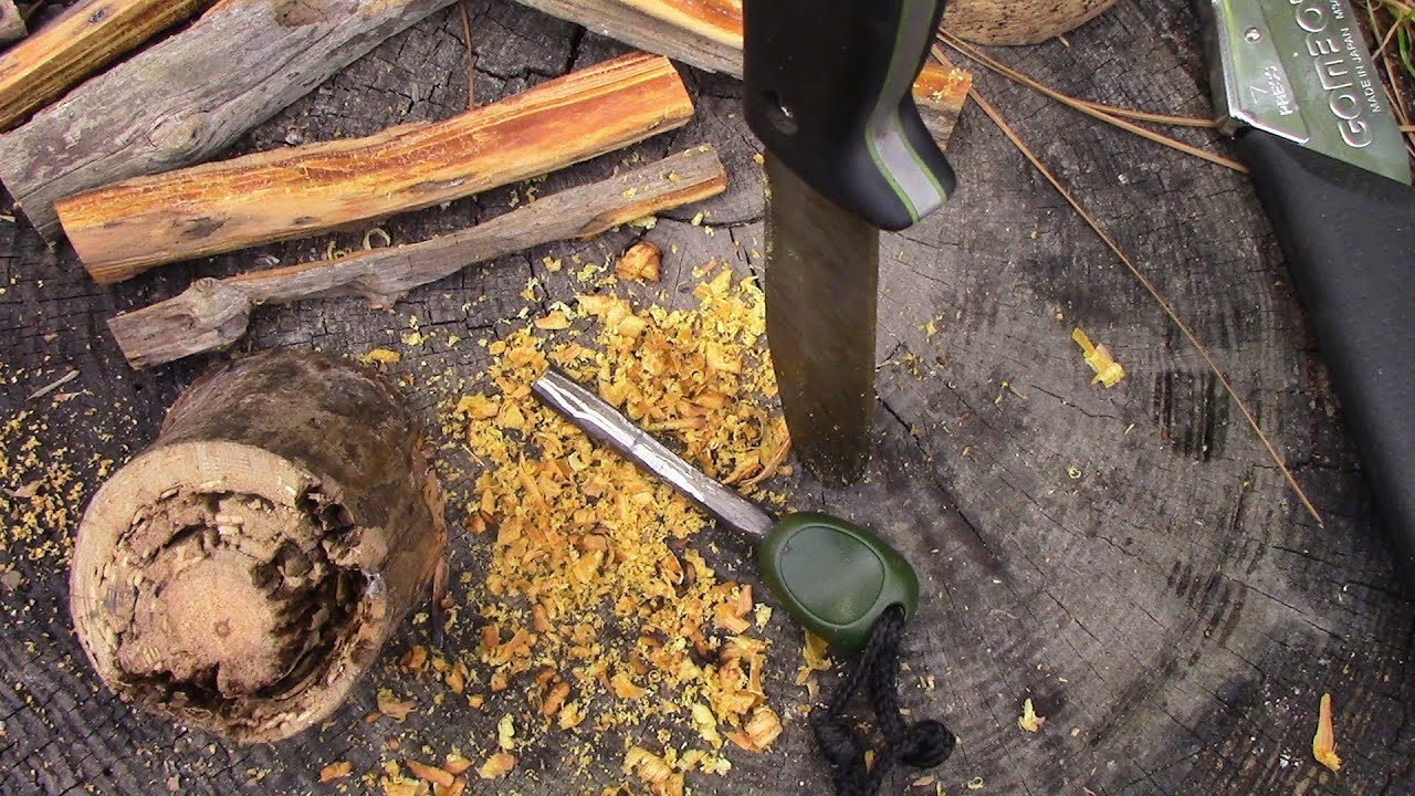 Drought Fatwood Exposed