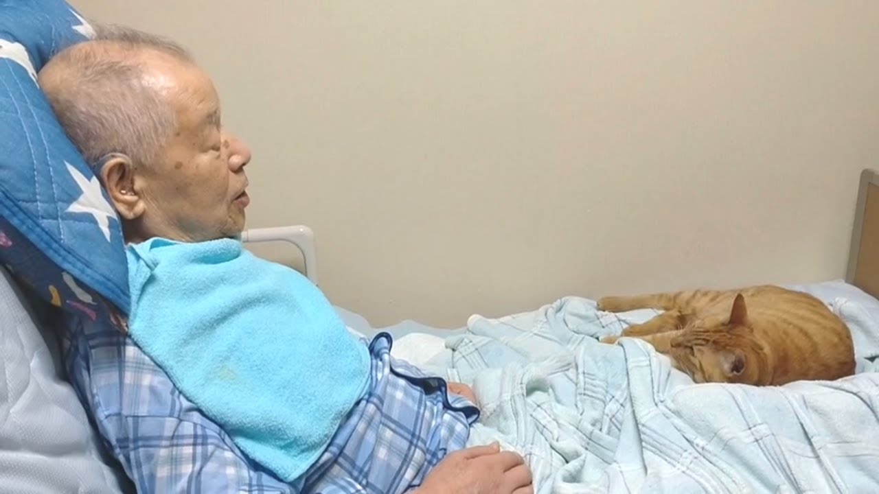 一か月ぶりにじぃじに再会したら謎に懐く愛猫が可愛いｗ