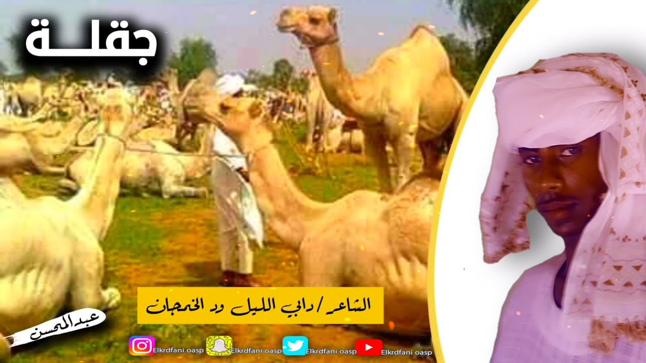 الشاعر /دابي الليل ود الخمجان[جقلـــــة