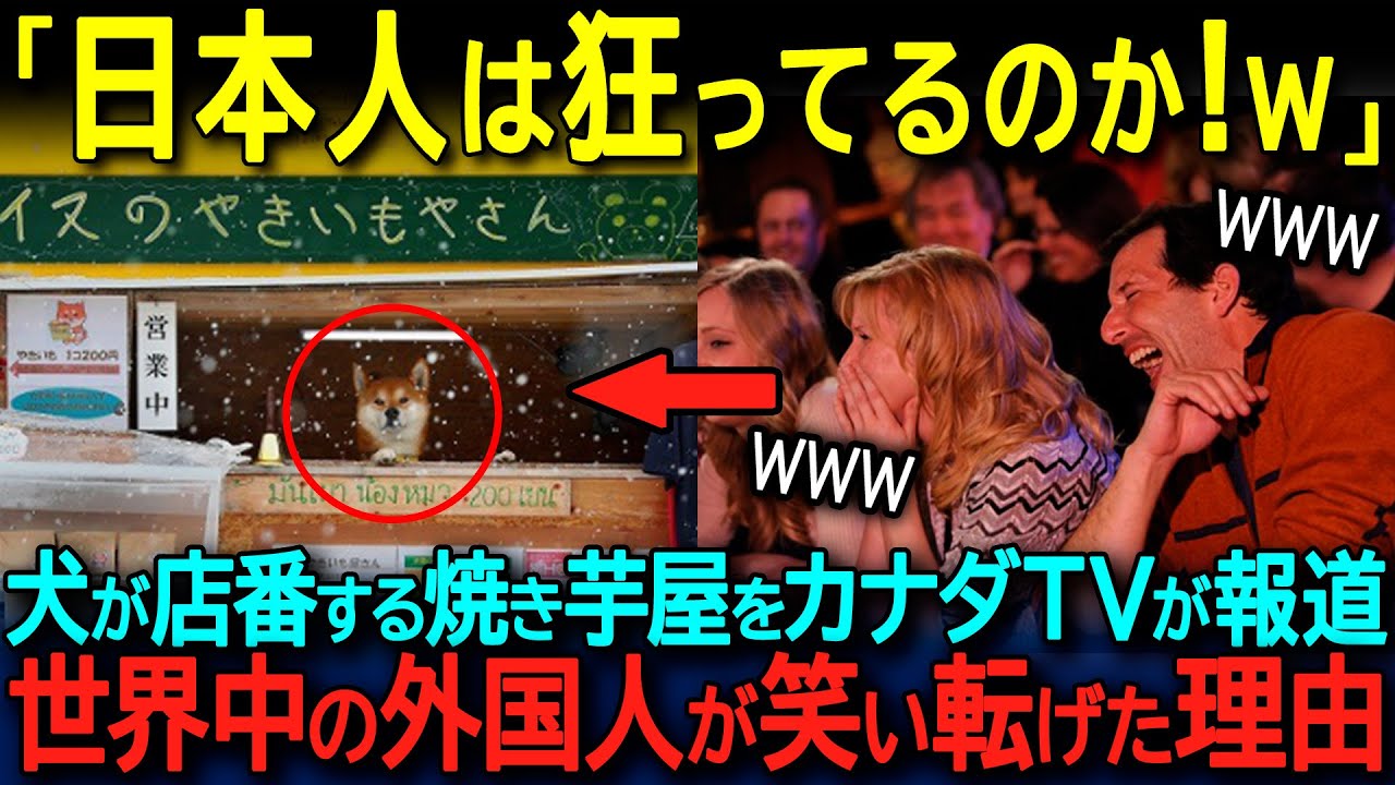 【海外の反応】「犬が店員なんて日本人は狂ってるのか？w」カナダTV局が柴犬の焼き芋屋を大特集し世界中が驚愕！
