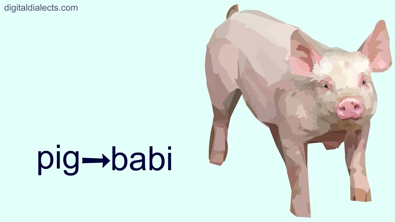 Animals in the Sundanese language