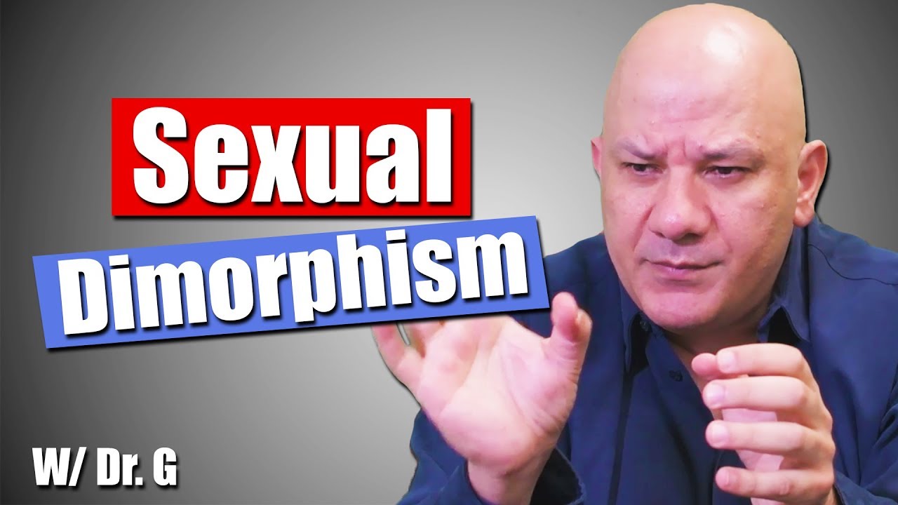 Sexual Dimorphism in Humans and Relationships