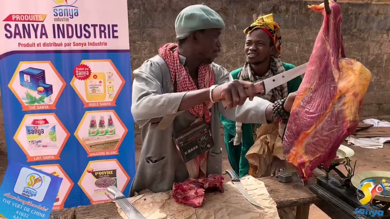 Le Fou Woroli et Diabaté en infraction affaire de Fali féré
