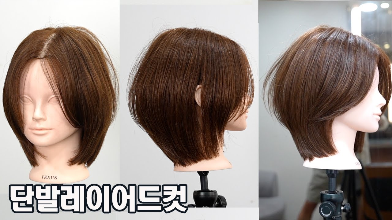 단발레이어드컷 정확하게 이해하면 쉽게 자를수있다!