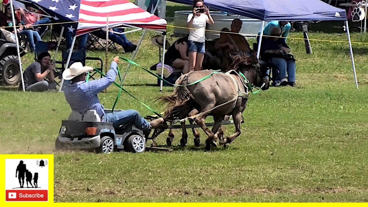 Toy Car Races - What About Bob Chuckwagon Races 2022 |  Saturday