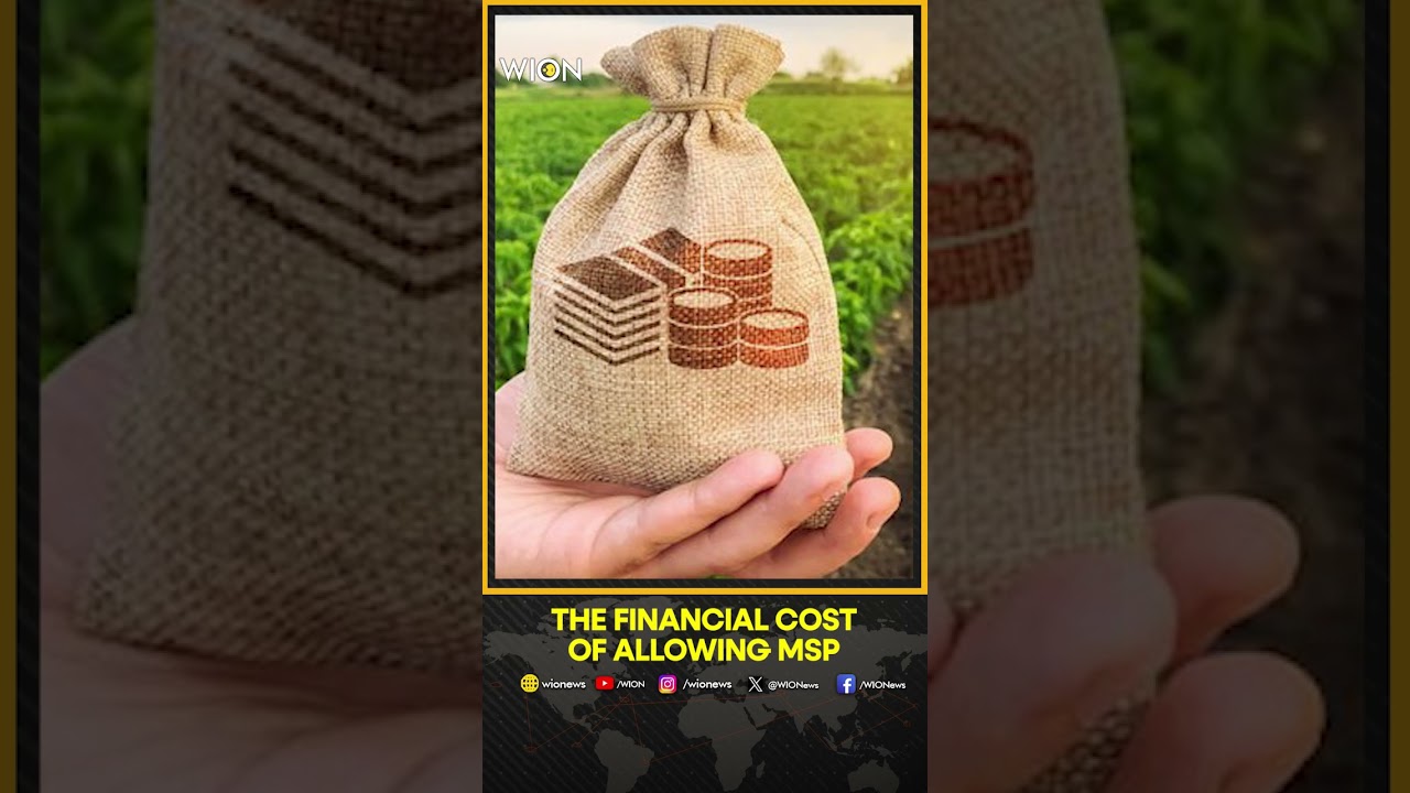 India Farmers' protest: The cost of MSP to government is in trillions of rupees | WION Shorts