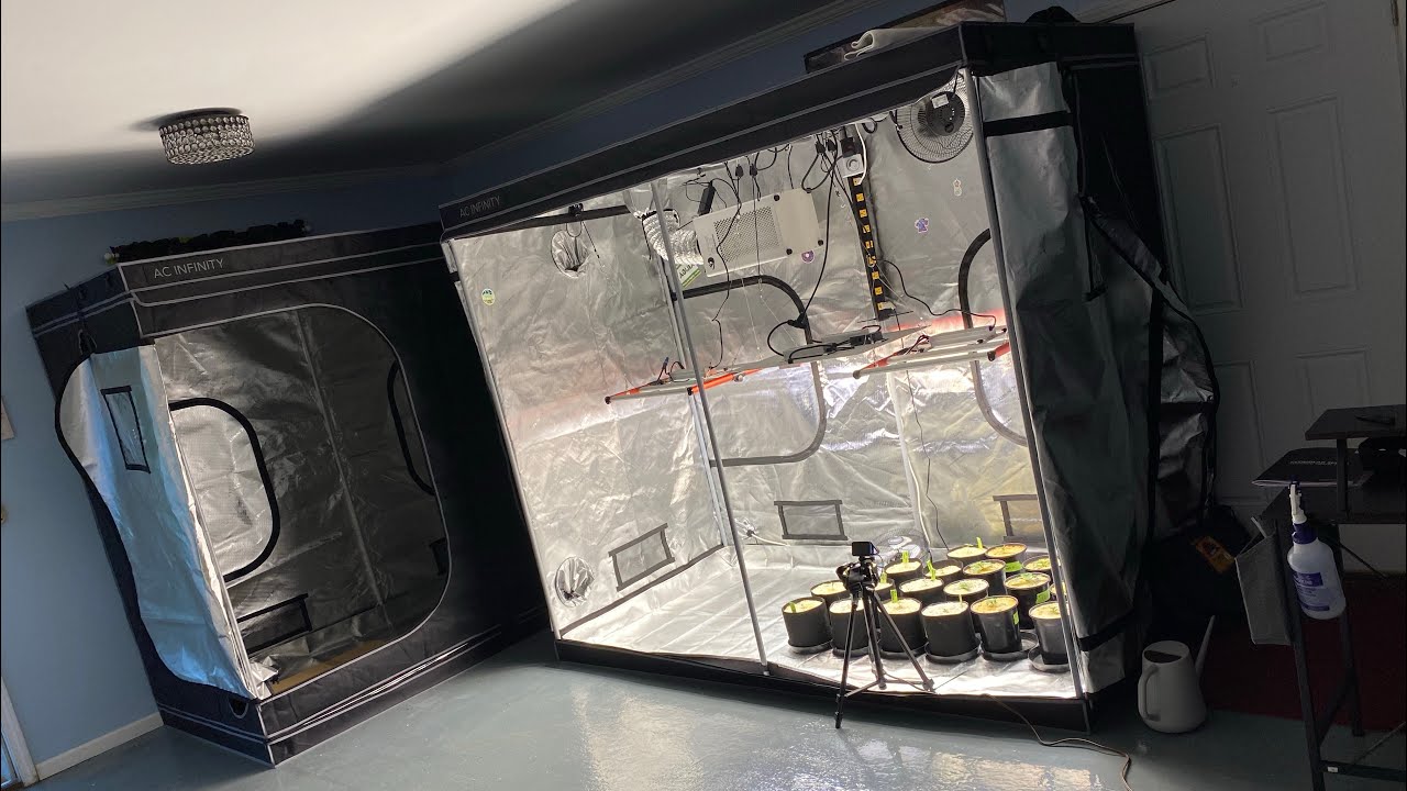 MARS HYDRO FCE-4800 IN A 4x8 GROW TENT