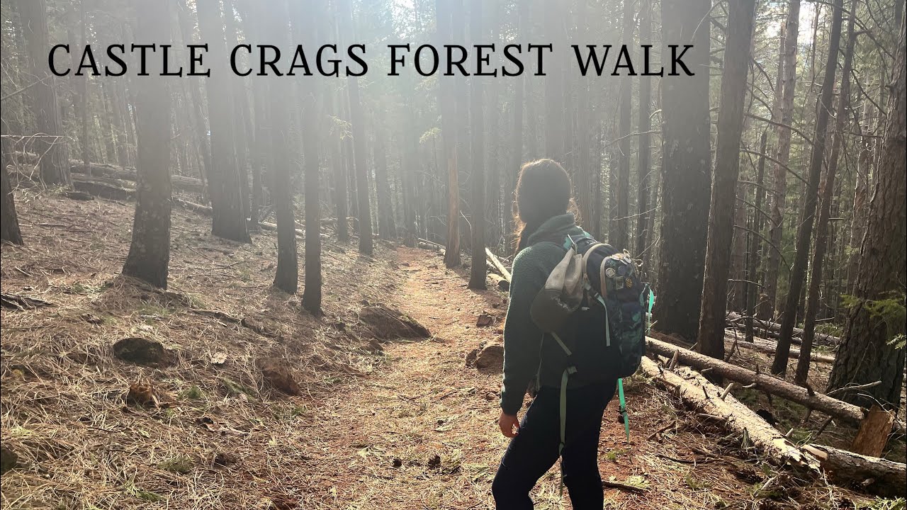 ASMR // Castle Crags Forest Walk