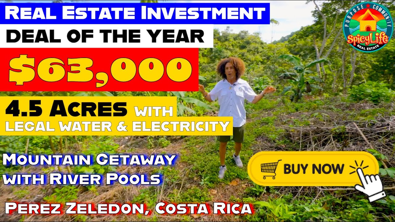 PROPERTY FOR SALE REAL ESTATE INVESTMENT COSTA RICA 4.5 ACRES READY TO BUILD YOUR HOME PEREZ ZELEDON