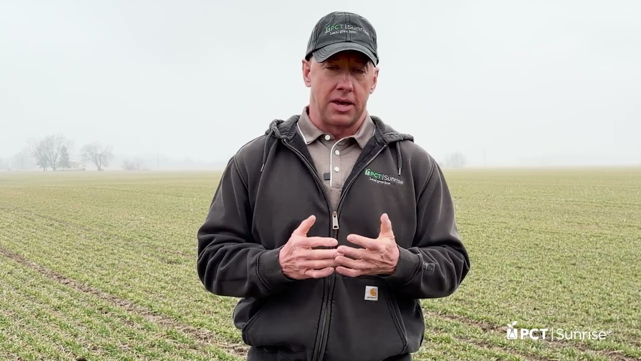 PCT Shorts: Time to Get Out and Scout…Your Wheat that is!PCT Shorts 03 06 26