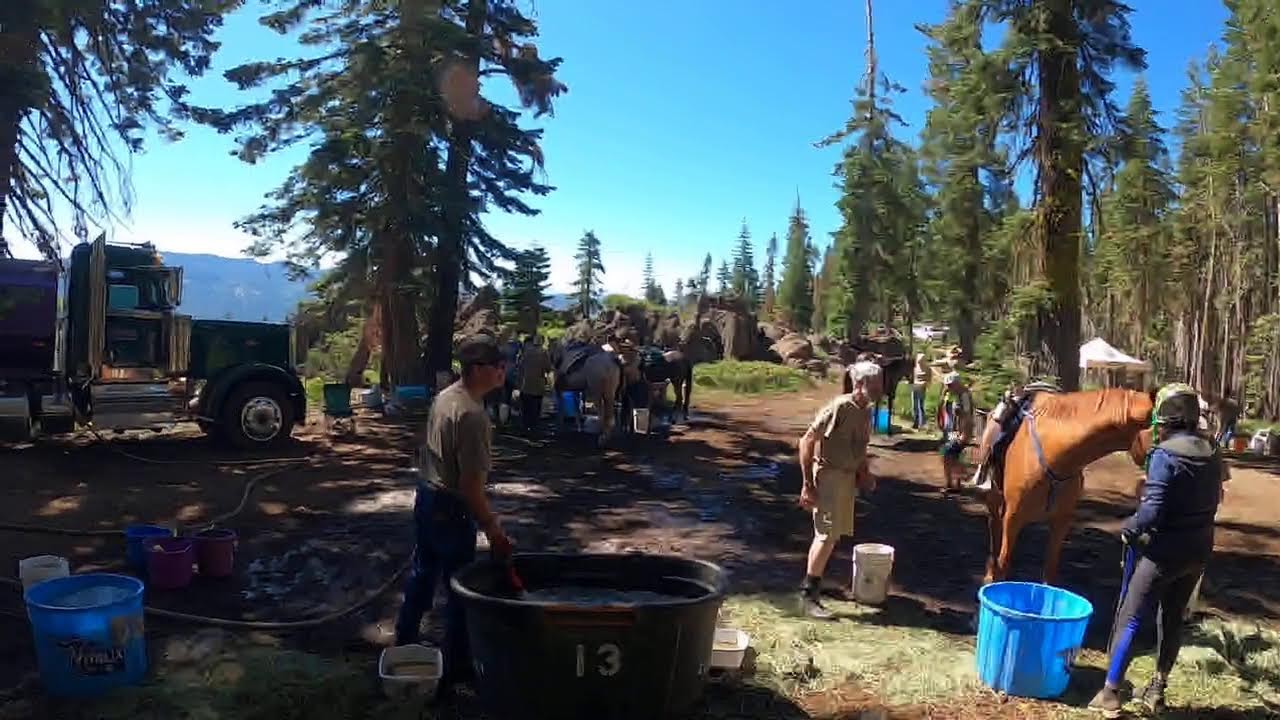 Tevis Cup - Red Star Ridge - Livestream 4