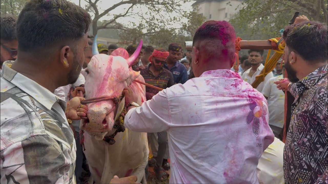 mathur 🆚 अरिब्या जल्लोष 