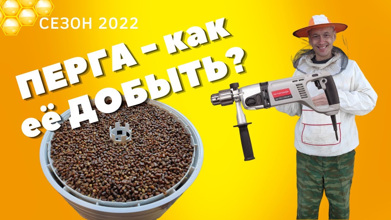ПЕРГА - КАК ЕЁ ДОБЫТЬ? ВСЁ ПРОСТО? ИЛИ НЕТ?