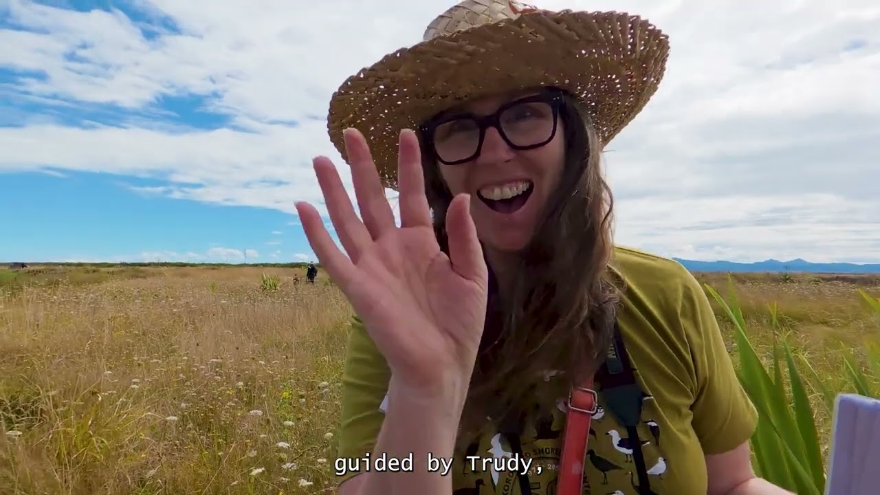 Aotearoa New Zealand by bicycle and campervan