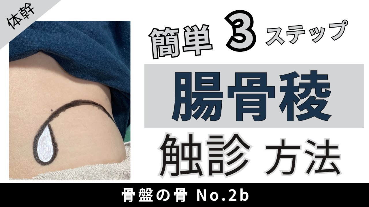 簡単3ステップ：腸骨稜の触診方法（Iliac Crest Palpation）