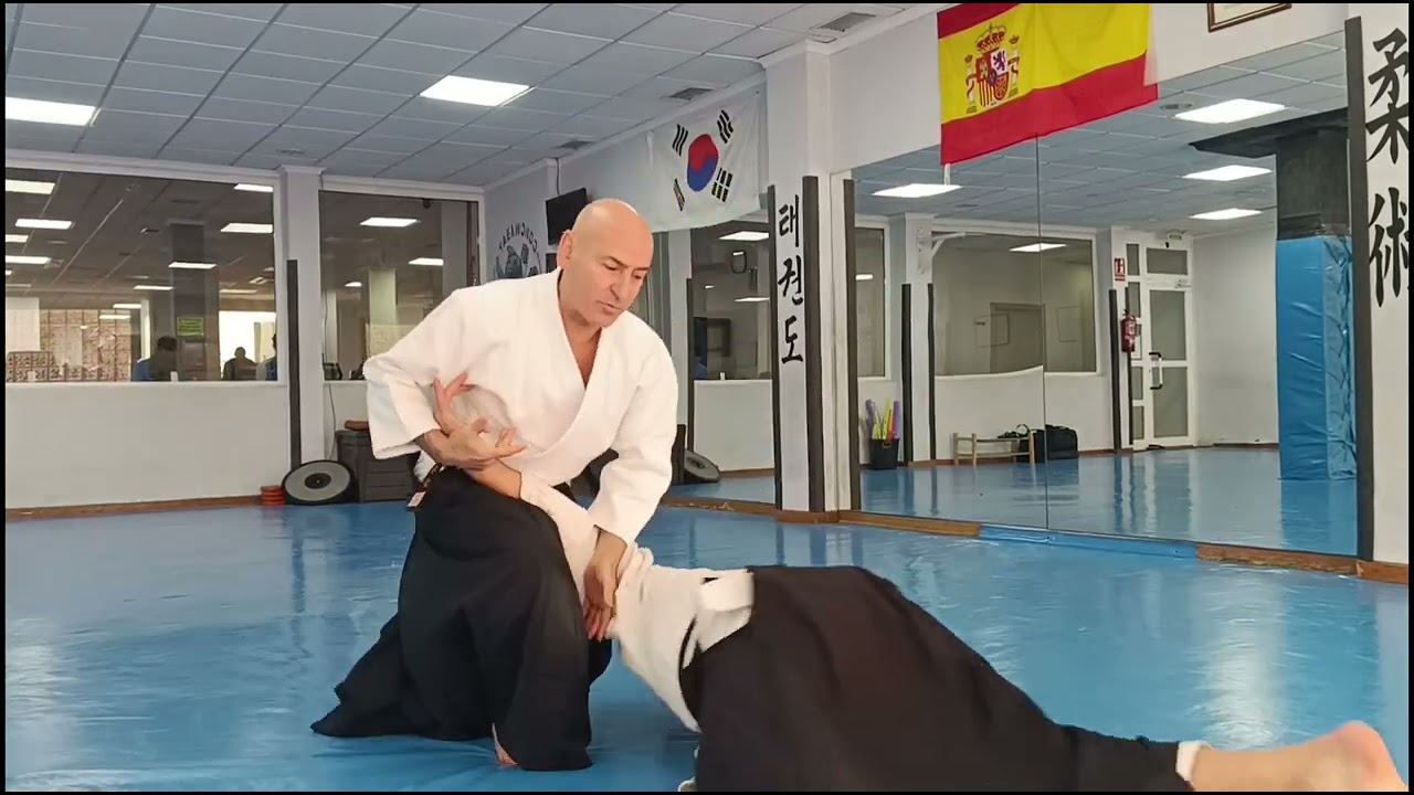 Aikido Sevilleja. Kata Dori: Ikkyo Omote, Irimi Nage, Kaiten Nage, Kote Gaeshi, Shiho Nage Omote...