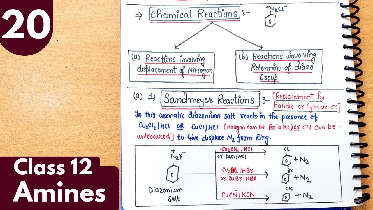 20) Sandmeyer and Gattermann reaction| Chemical reactions of Amines| Amines Class12