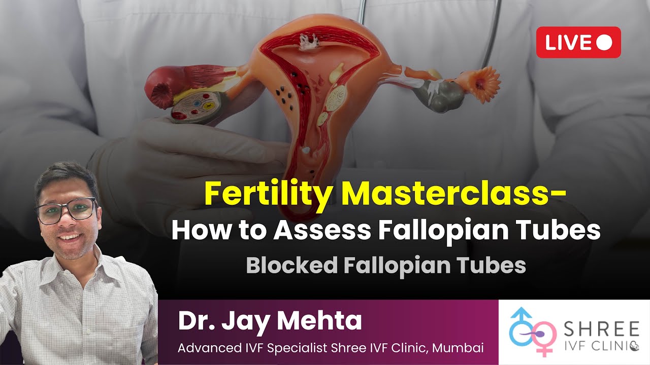 Fertility Masterclass 25 - How to Assess Fallopian Tubes | Blocked Fallopian Tubes