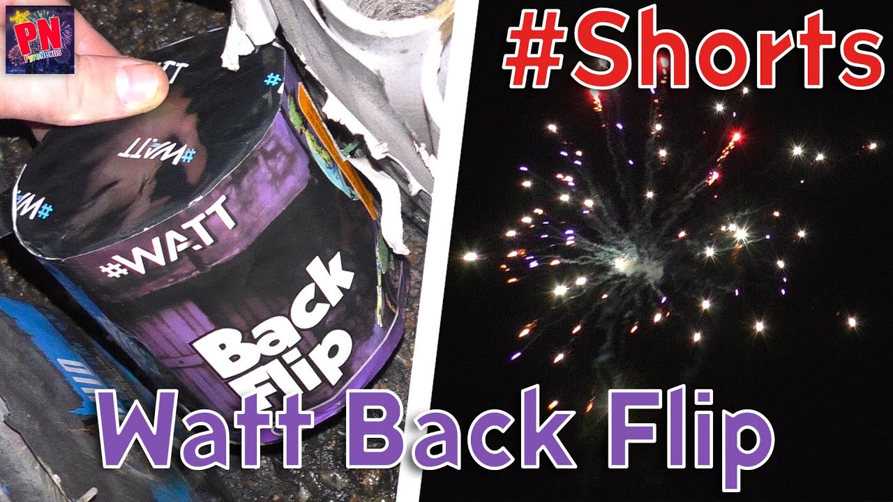 Watt Back Flip - nette Blinker! 👀 | #shorts | PyroNexus
