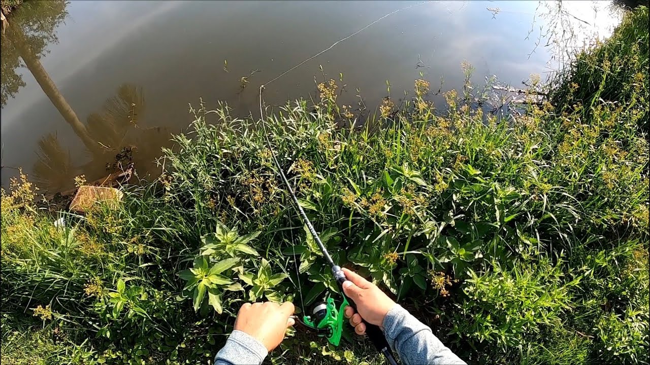 Review Vara albatroz SELENA 7-14 lbs 1.65 MOLINETE. Com teste de arremesso.