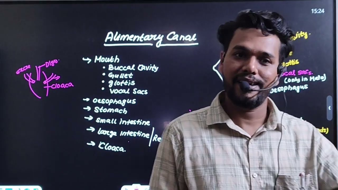 Digestion In Frog || Anatomy Of Frog #biology #zoology #youtube #explore #foryou #neet #viral 