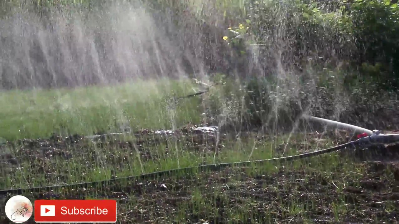 Micro Rain Pipe For Agriculture Used.