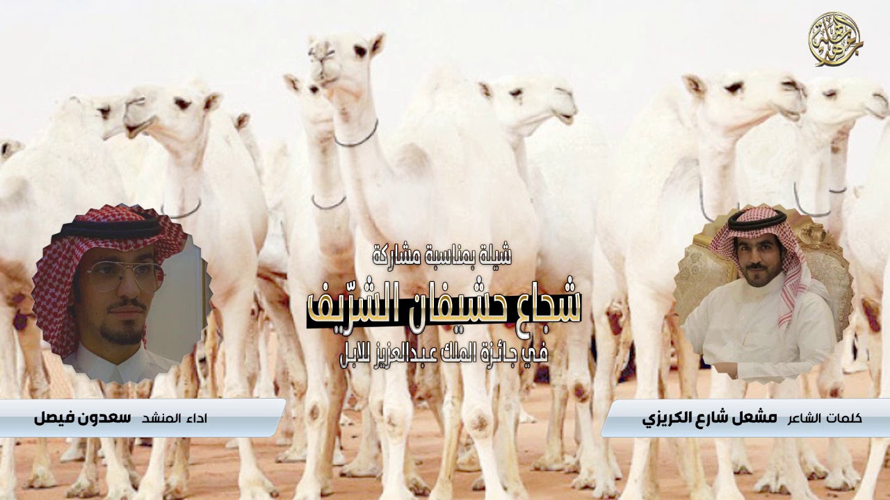 شيلة بمناسبة مشاركة شجاع حشيفان الشريف في جائزة الملك عبدالعزيزللابل