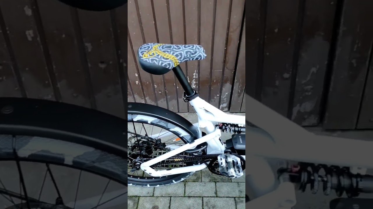 Riese & M&uuml;ller LOAD 75 Customization!