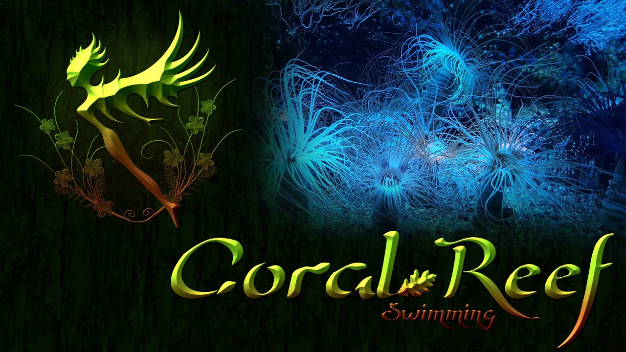 1 Hour Underwater Music (Fantasy Music) - Coral Reef Swimming