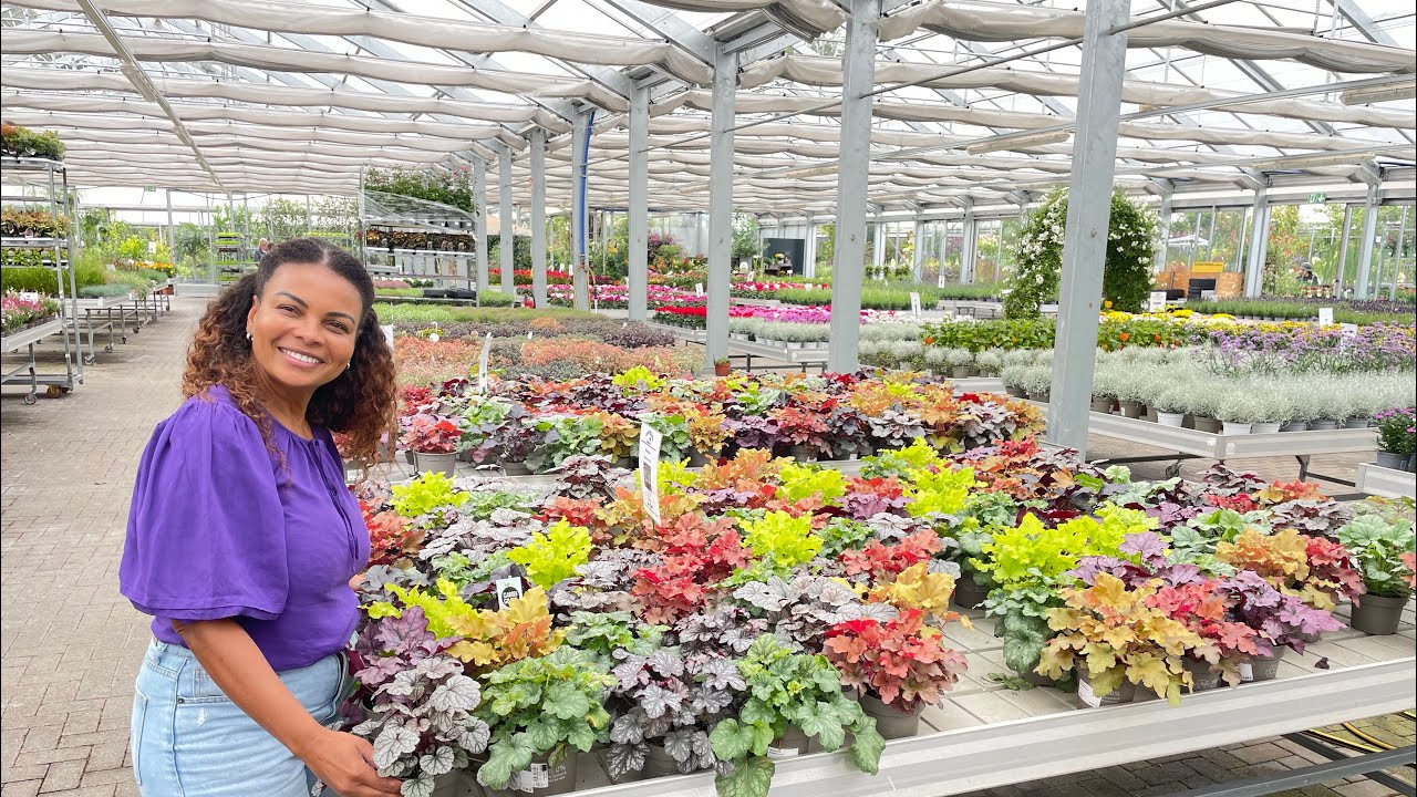 Fui Em Busca De Plantas Raras e Vejam O que Encontrei 🌹