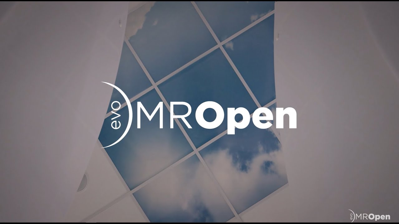 MROPENEVO: the open sky upright MRI with MgB2 green technology